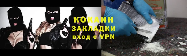 шишки Медвежьегорск