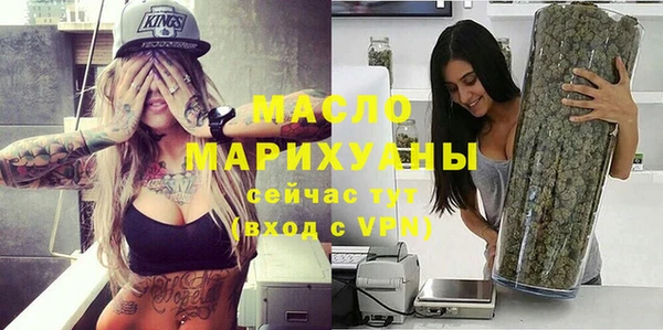 шишки Медвежьегорск