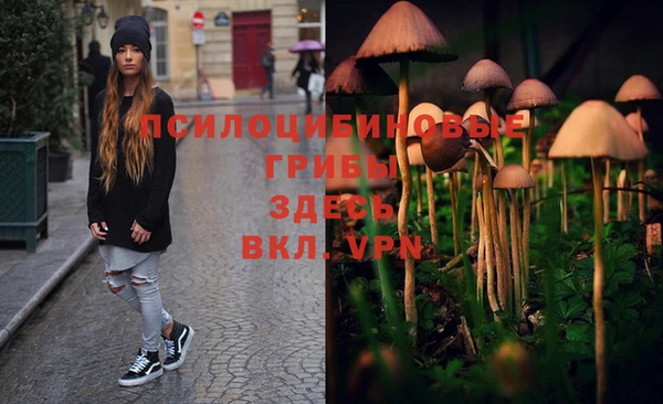 ПСИЛОЦИБИНОВЫЕ ГРИБЫ Мегион