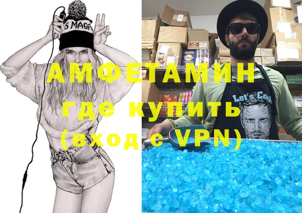 шишки Медвежьегорск
