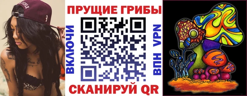 Псилоцибиновые грибы Psilocybine cubensis  Мариинск 