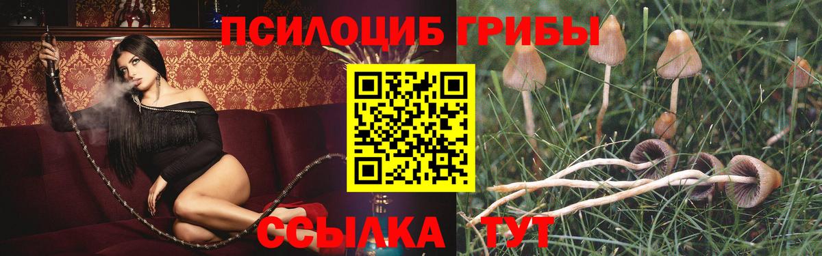 Галлюциногенные грибы мицелий  Вход с VPN  Мариинск 